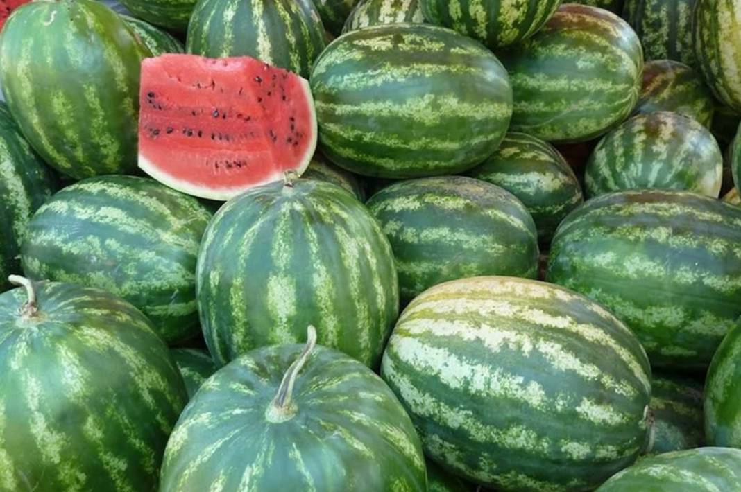 Dilim karpuzun fiyatını duyanlar küçük dilini yuttu! Asgari ücretliye karpuz almak hayal oldu 8